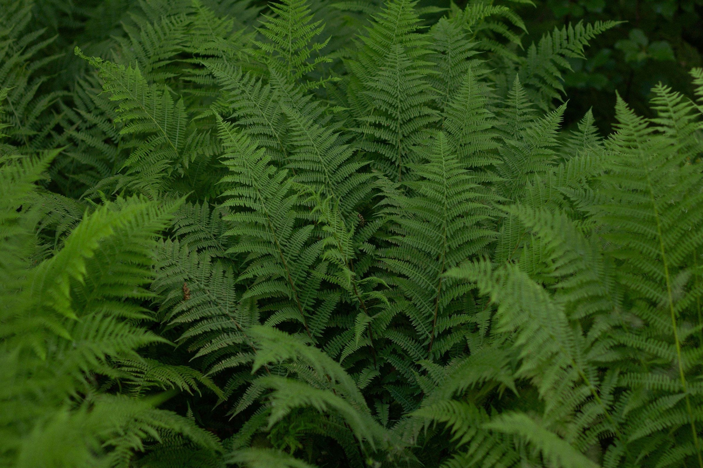 Hintergrundbild